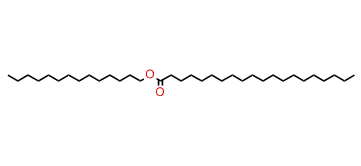 Tetradecyl eicosanoate